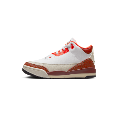 Jordan 3 Retro SE