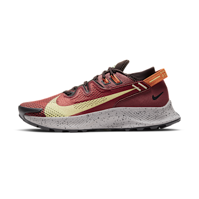 Nike Pegasus Trail 2