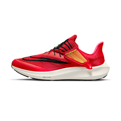 Nike Pegasus FlyEase