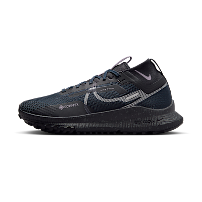 Nike Pegasus Trail 4 GORE-TEX