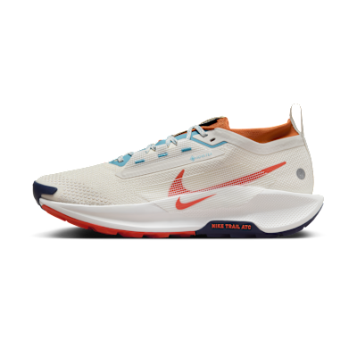 Nike Pegasus Trail 5 GORE-TEX