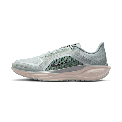 Nike Pegasus 41 GORE-TEX