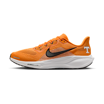 Tennessee Pegasus 41