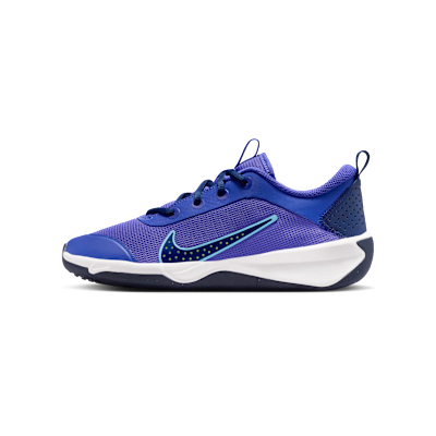 Nike Omni Multi-Court