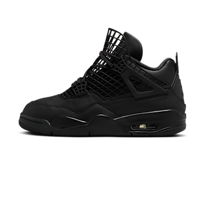Air Jordan 4 Net