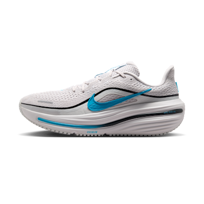 Nike Winflo 12