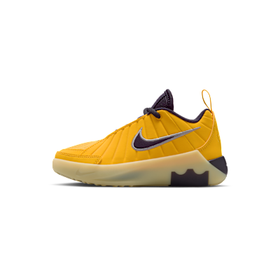 LeBron Witness 9