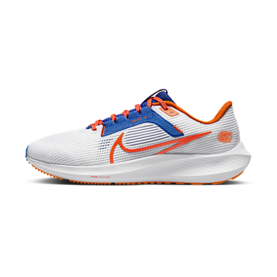 Nike Pegasus 40 (Florida)