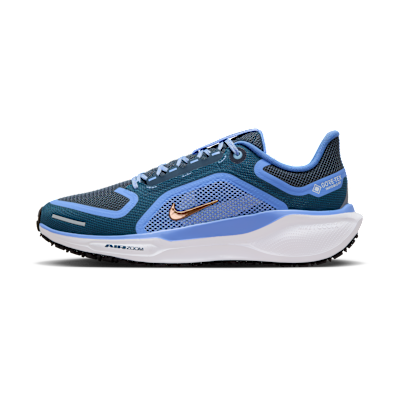 Nike Pegasus 41 GORE-TEX