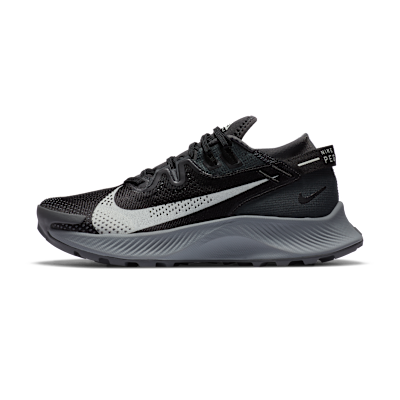 Nike Pegasus Trail 2