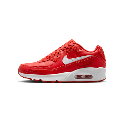 Nike Air Max 90 LTR