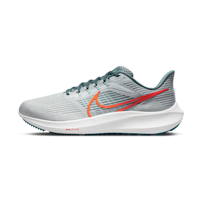 Nike Pegasus 39