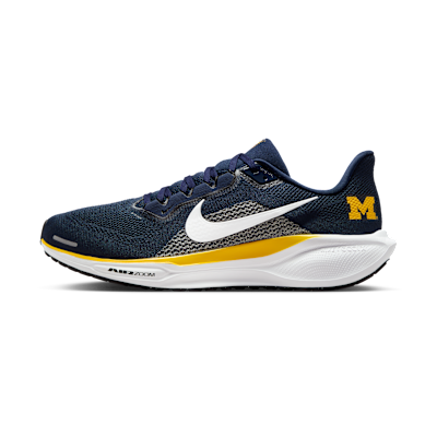 Michigan Pegasus 41