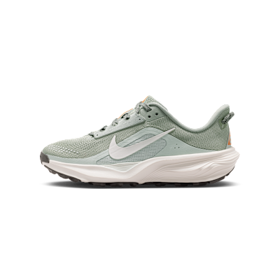 Nike ACG Pegasus Trail
