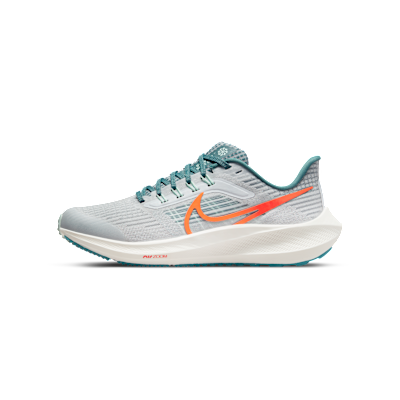 Nike Air Zoom Pegasus 39