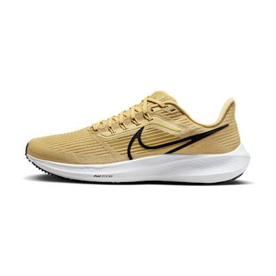 Nike Pegasus 39