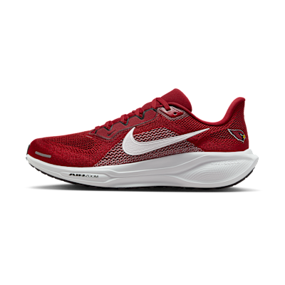 Arizona Cardinals Pegasus 41