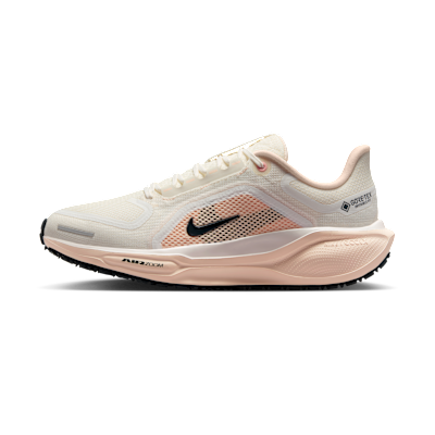 Nike Pegasus 41 GORE-TEX