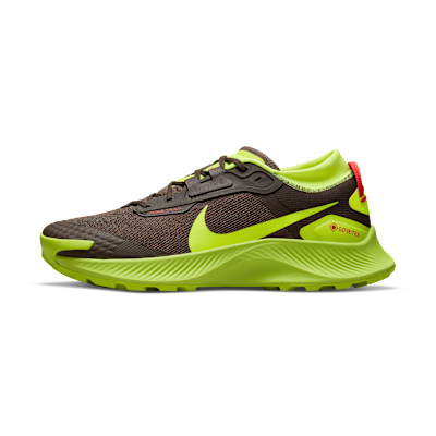 Nike Pegasus Trail 3 GORE-TEX