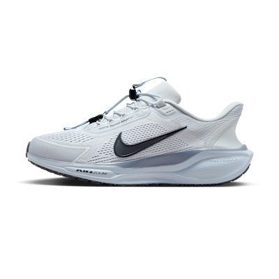 Nike Pegasus EasyOn