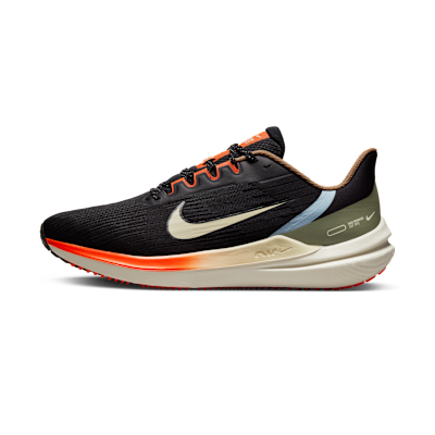 Nike Air Winflo 9