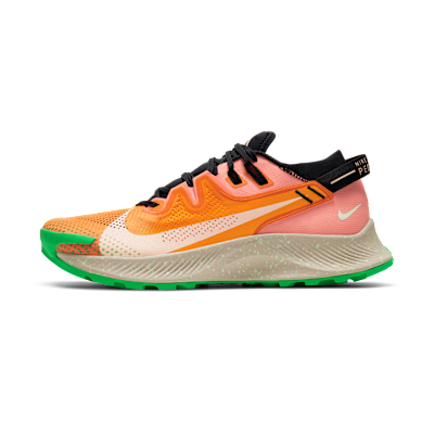 Nike Pegasus Trail 2