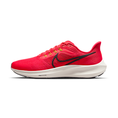 Nike Pegasus 39