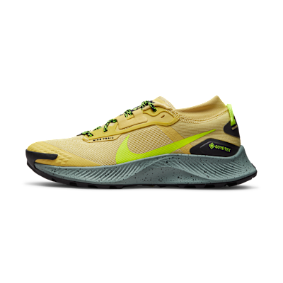 Nike Pegasus Trail 3 GORE-TEX