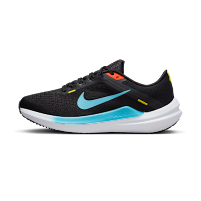 Nike Winflo 10