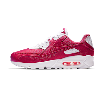 Nike Air Max 90 SE