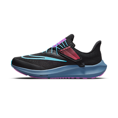 Nike Pegasus FlyEase SE