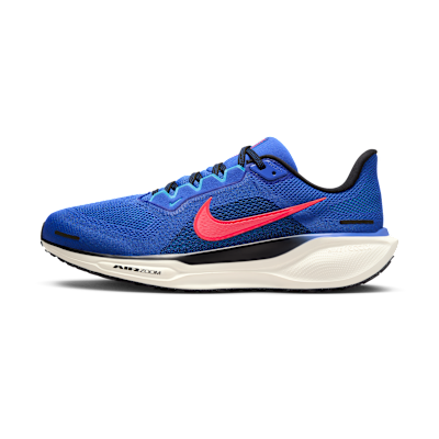 Nike Pegasus 41