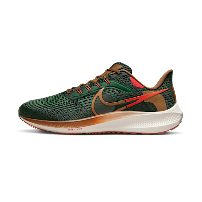 Nike Pegasus 39 A.I.R. Hola Lou