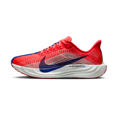 Nike Pegasus Plus