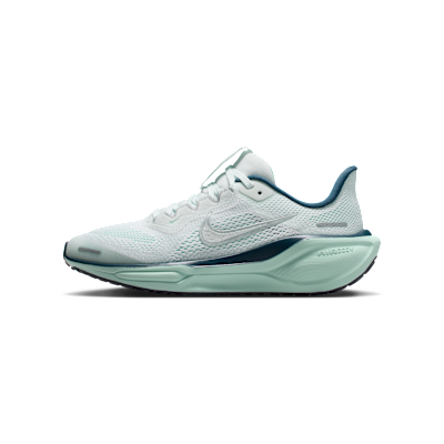 Nike Pegasus 41