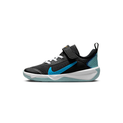 Nike Omni Multi-Court