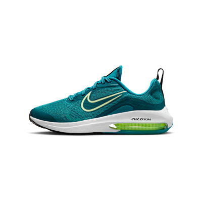 Nike Air Zoom Arcadia 2