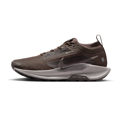 Nike Pegasus Trail 5 GORE-TEX