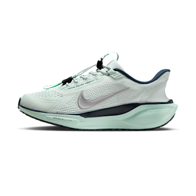 Nike Pegasus EasyOn