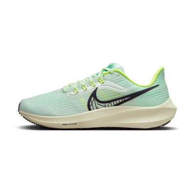 Nike Pegasus 39