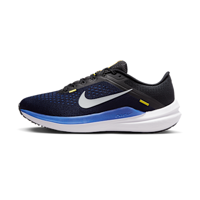 Nike Winflo 10