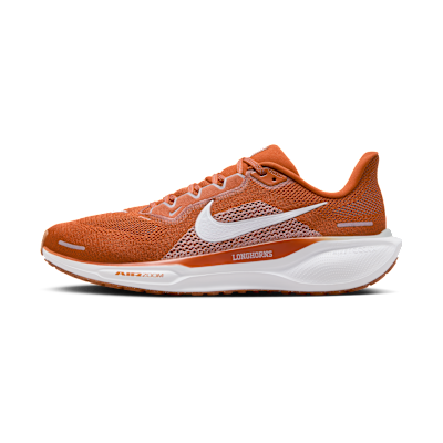 Texas Pegasus 41