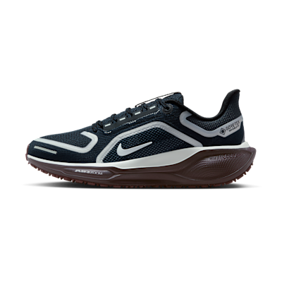 Nike Pegasus 41 GORE-TEX