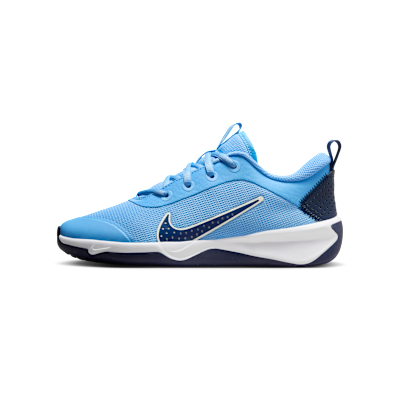 Nike Omni Multi-Court
