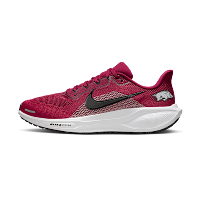 Arkansas Pegasus 41
