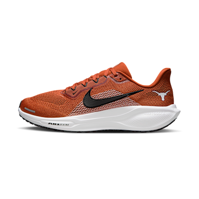 Texas Pegasus 41