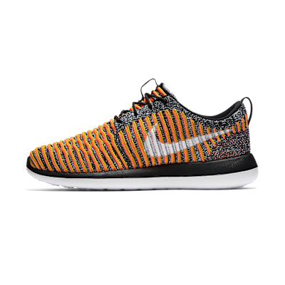 Nike Roshe Two Flyknit