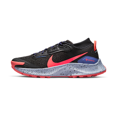 Nike Pegasus Trail 3 GORE-TEX