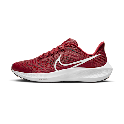 Nike Pegasus 39