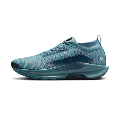 Nike Pegasus Trail 5 GORE-TEX